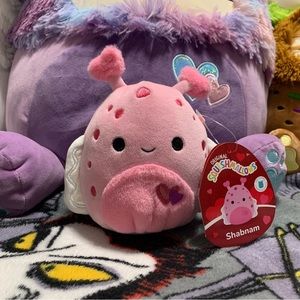 Squishmallows 5” Shabnam The Sea Snail FTM TAG